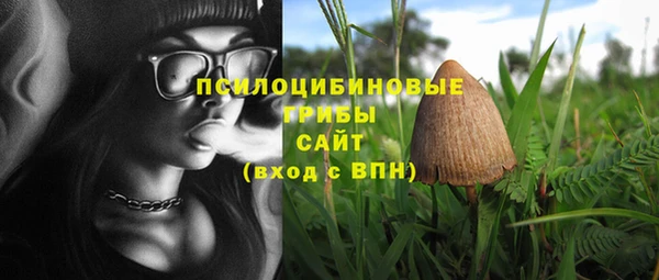 соль курить ск Краснослободск