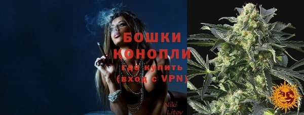 прущие грибы Куйбышев