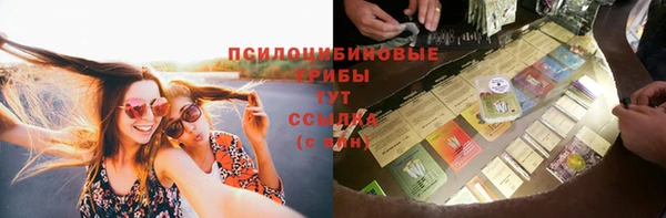 соль курить ск Краснослободск